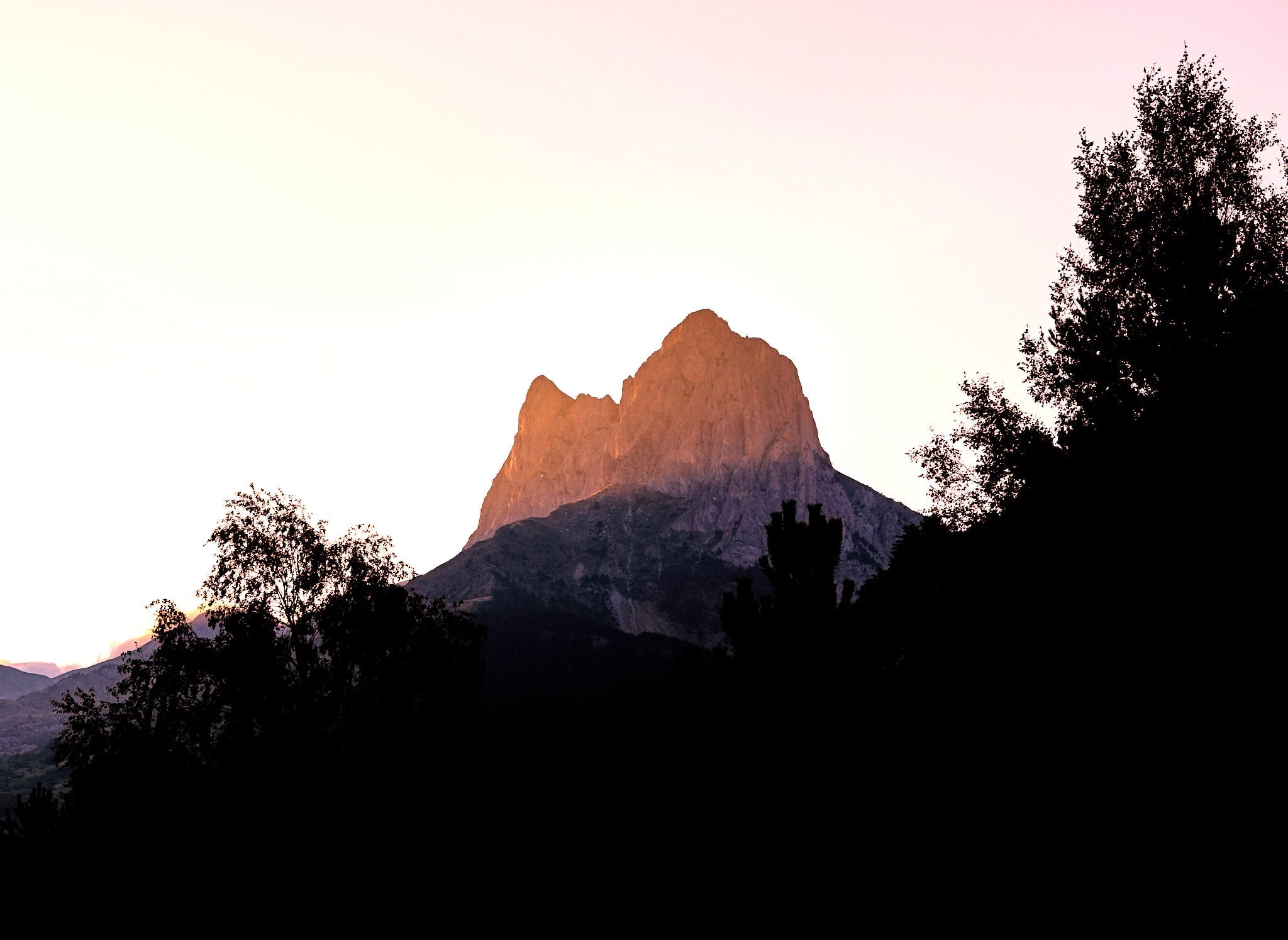 Colección montes de Aragón