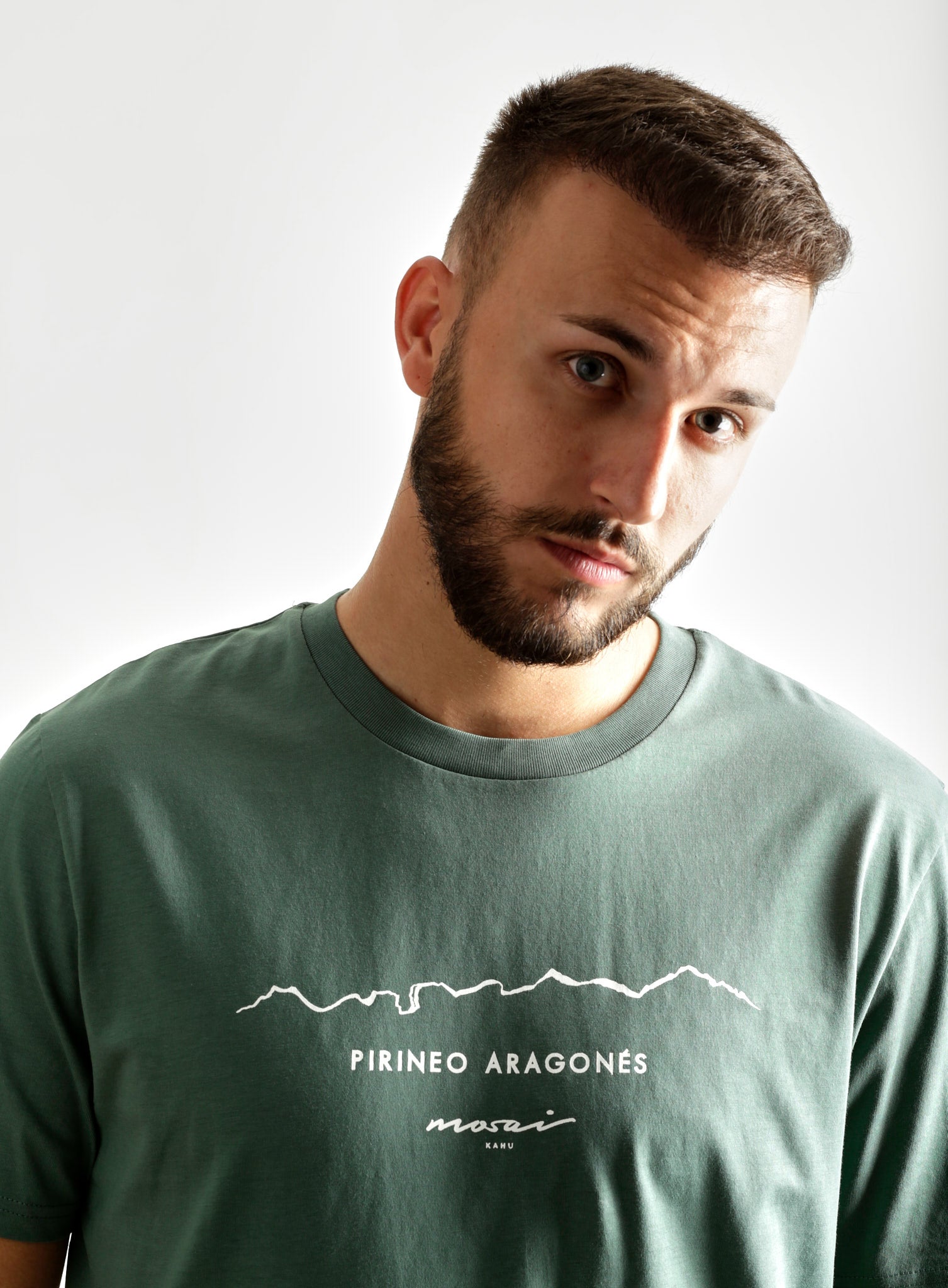 Pirineo Aragonés - verde