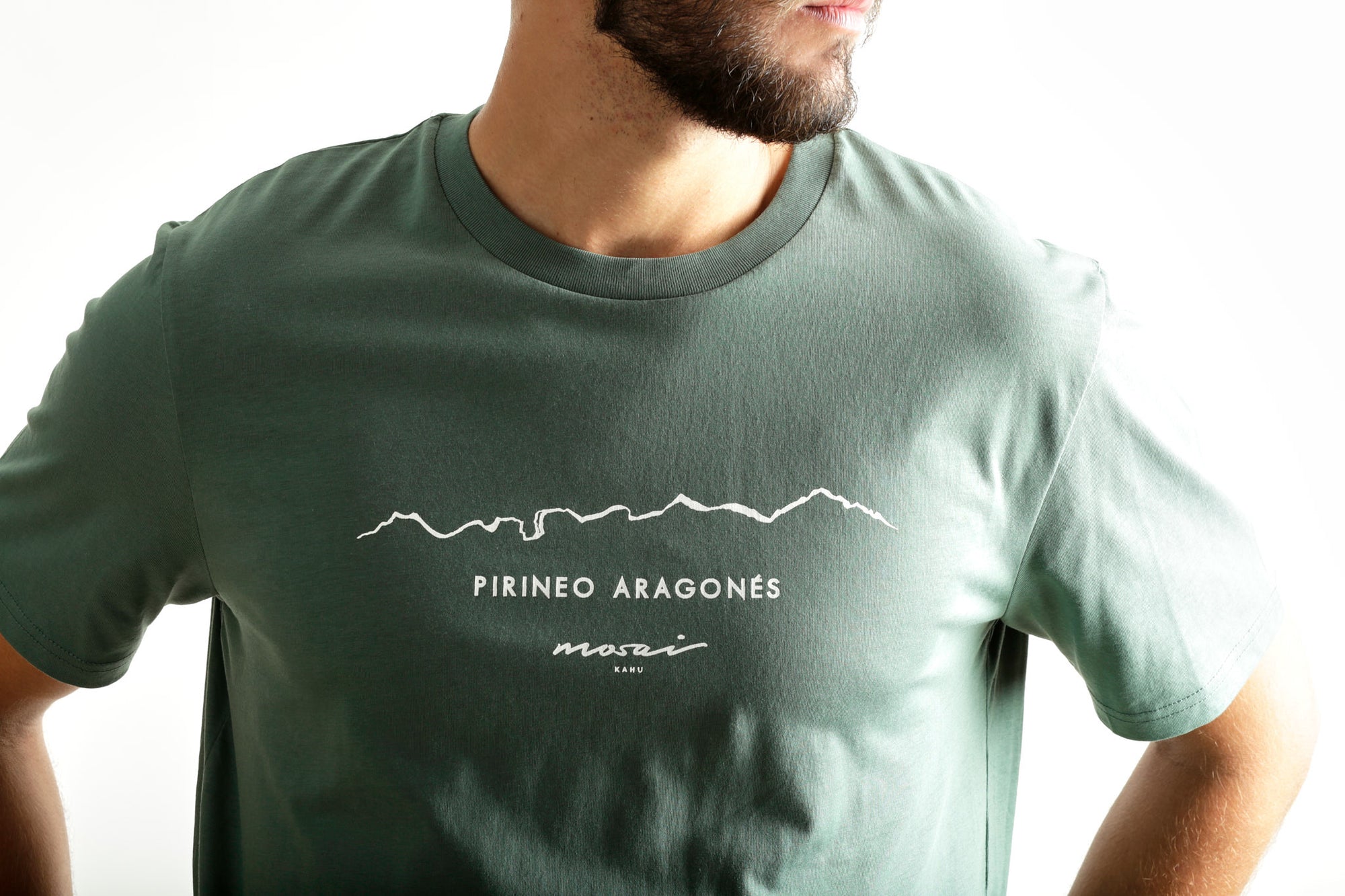 Pirineo Aragonés - verde