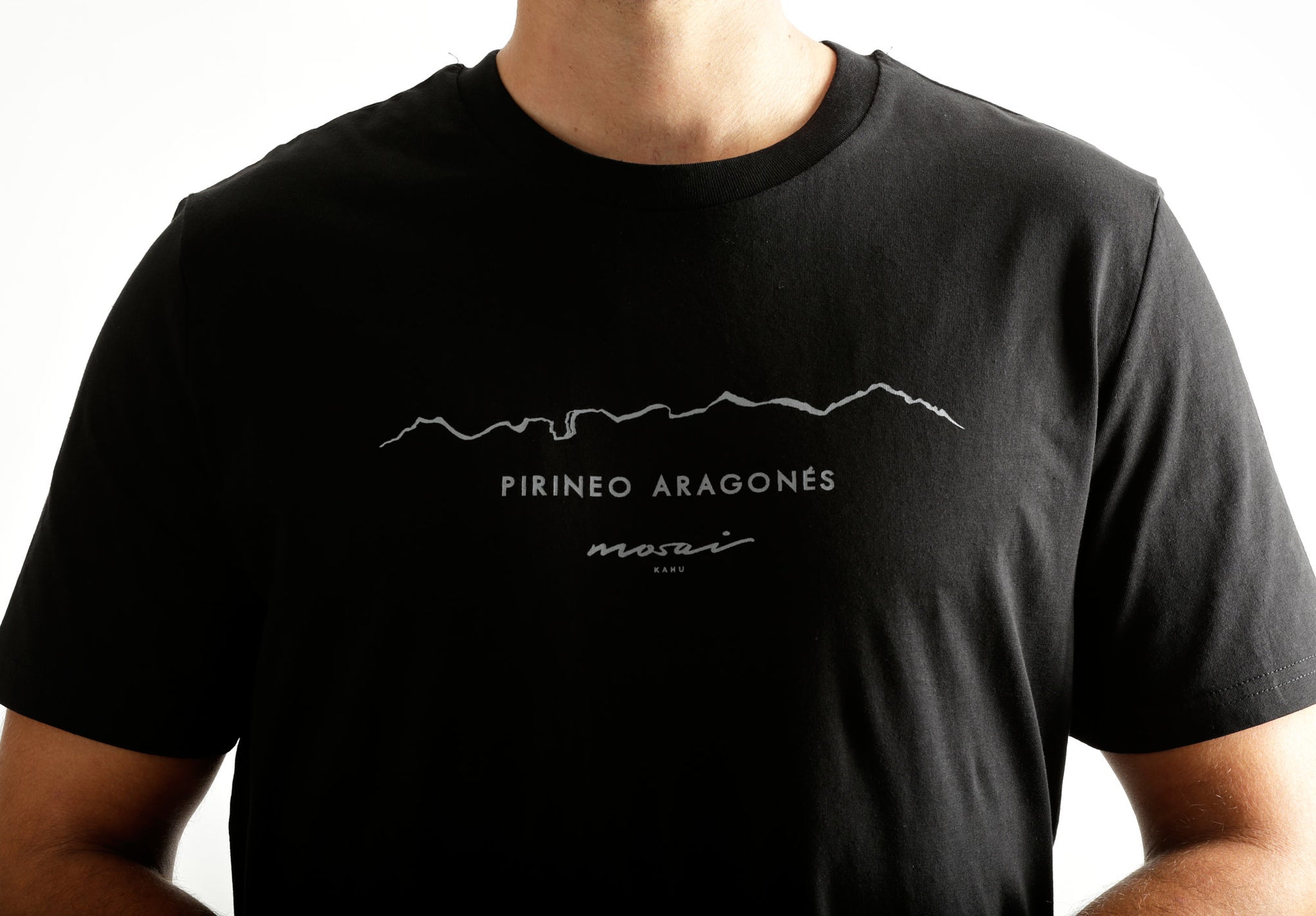 Pirineo Aragonés - Negro