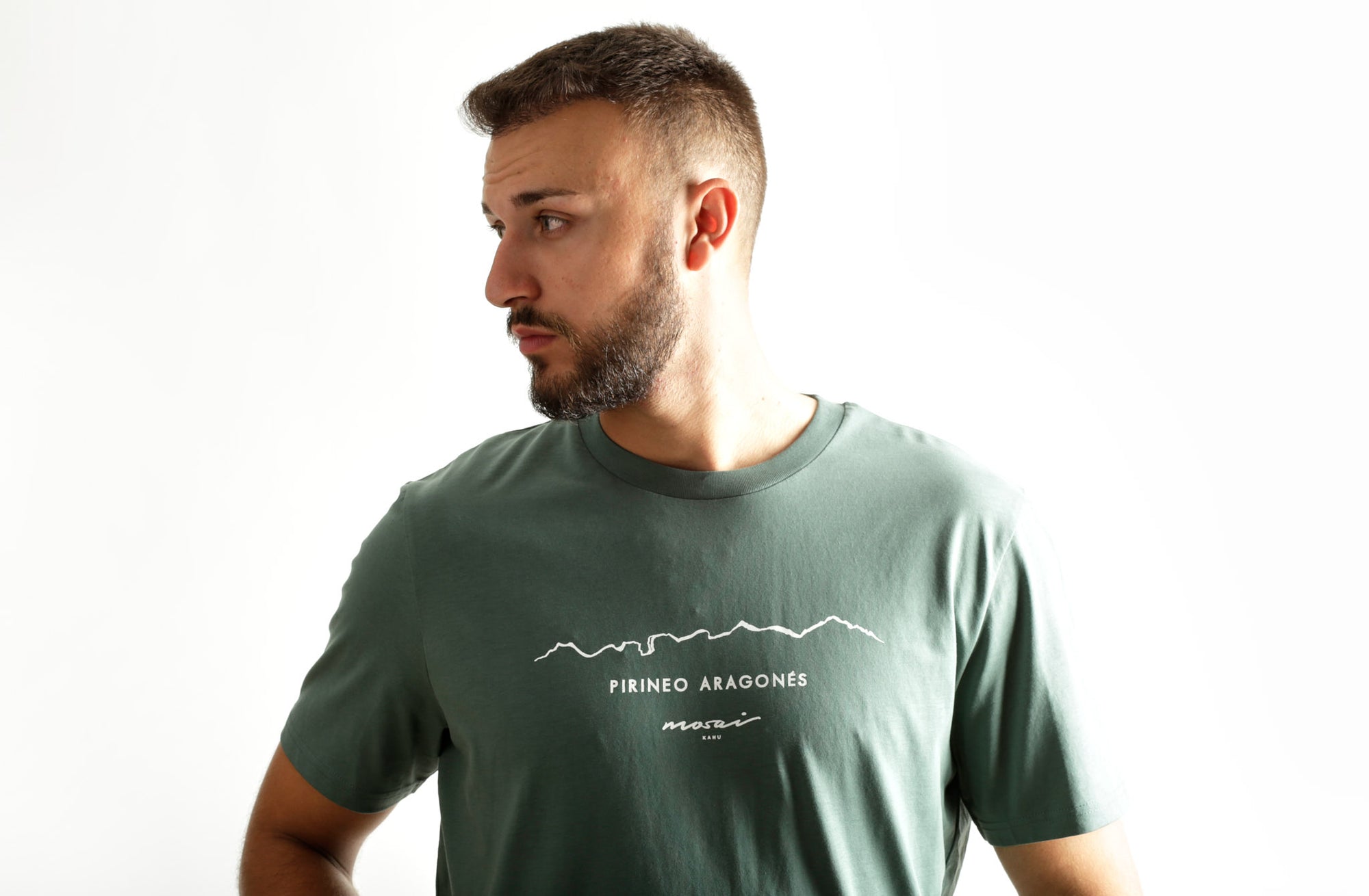 Pirineo Aragonés - verde