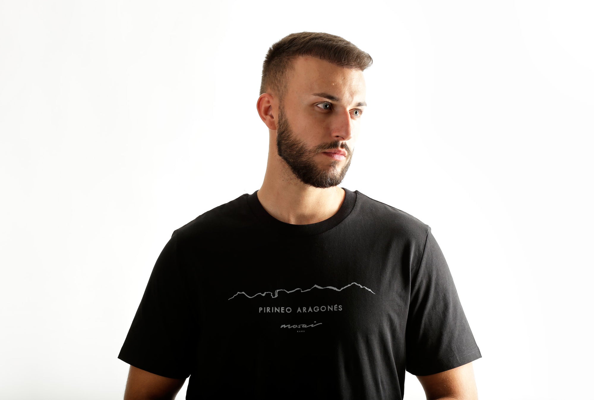 Pirineo Aragonés - Negro
